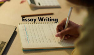 English essays corrections & feedback