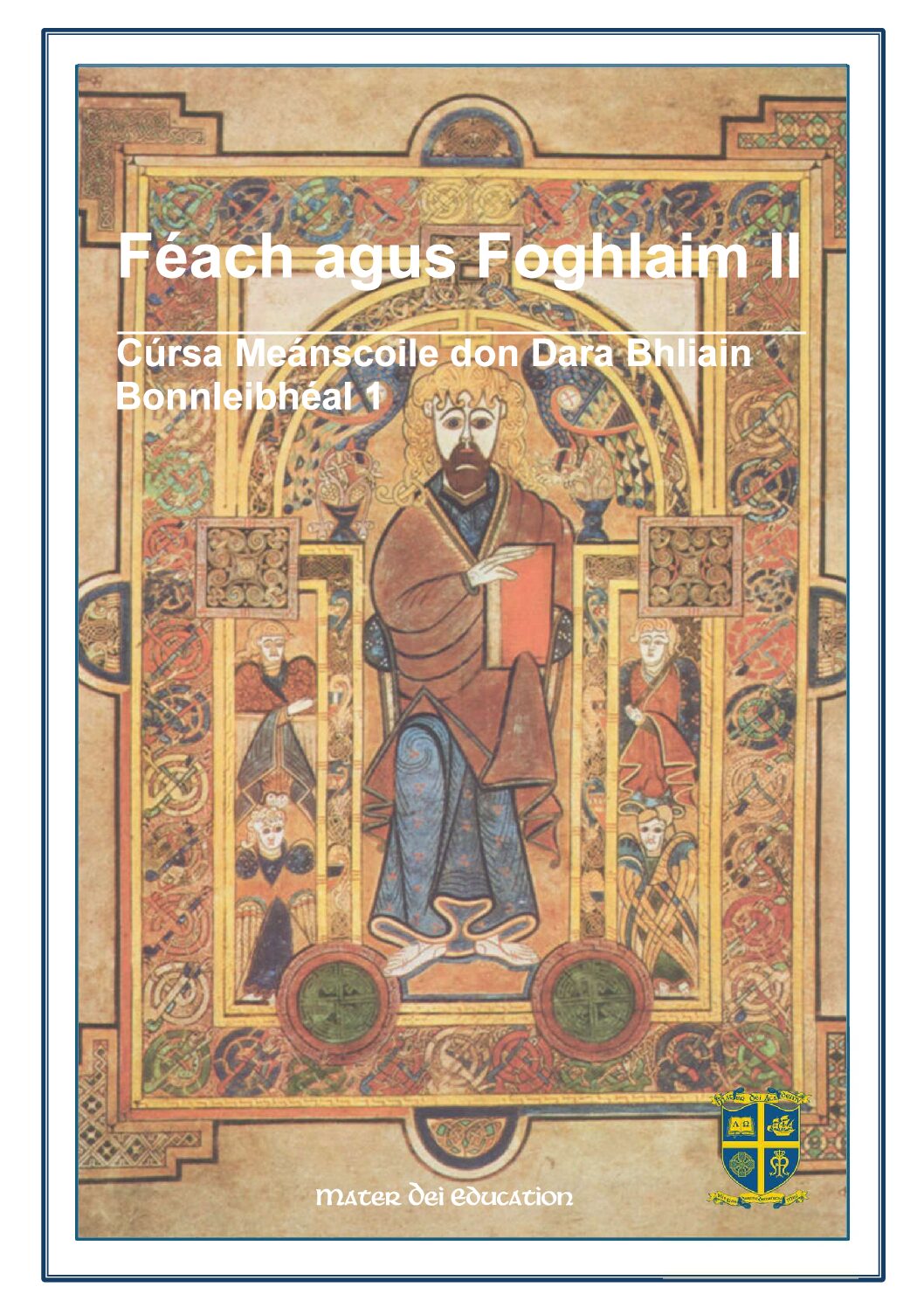 Féach agus Foghlaim II