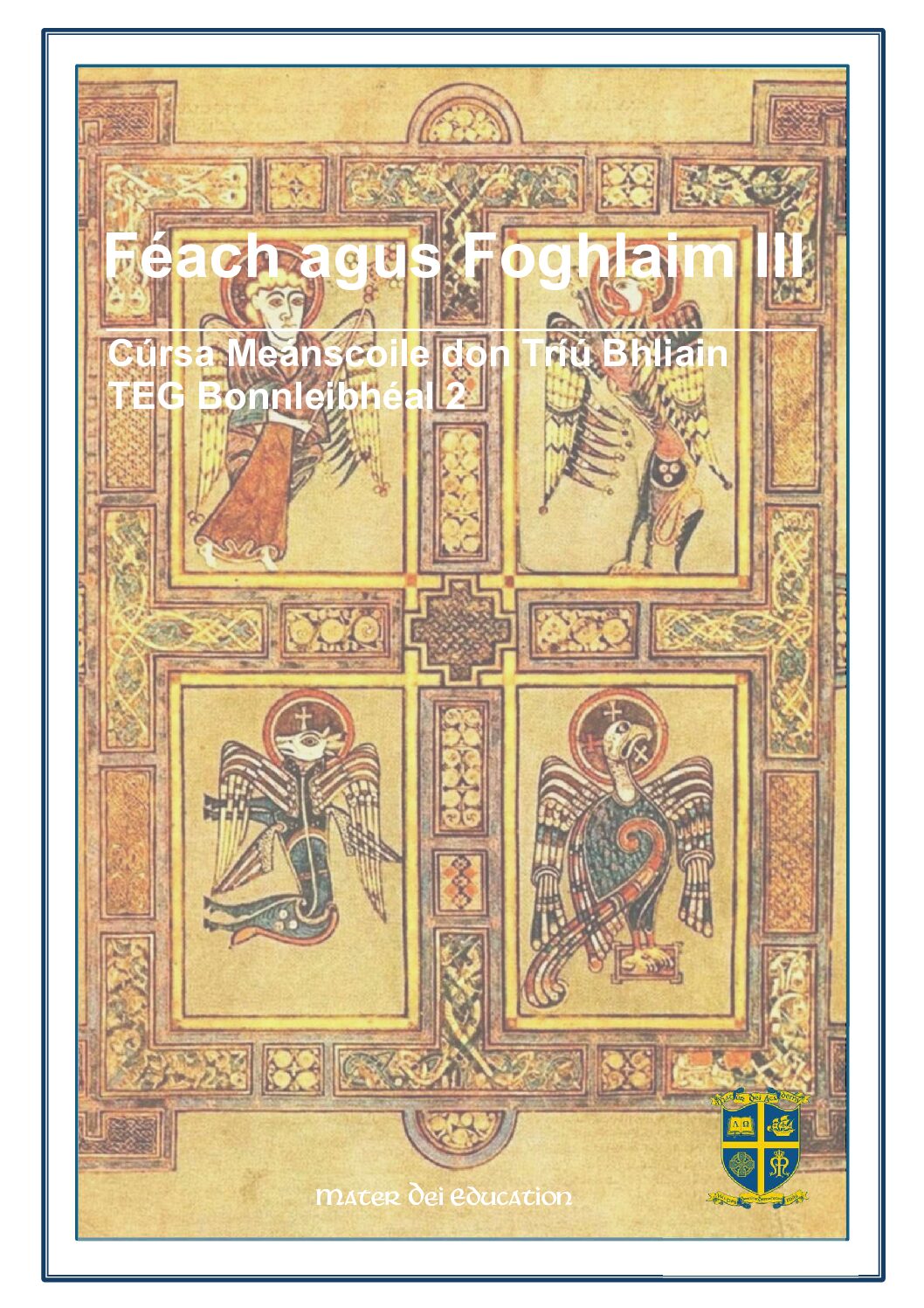 Féach agus Foghlaim III