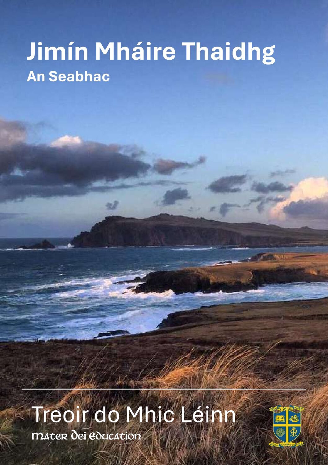 Jimín Mháire Taidhg I Treoir do Mhic Léinn